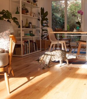 V4 - VIT102 Oak Rustic Oiled